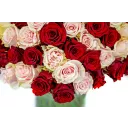 Bouquet of pink and red roses